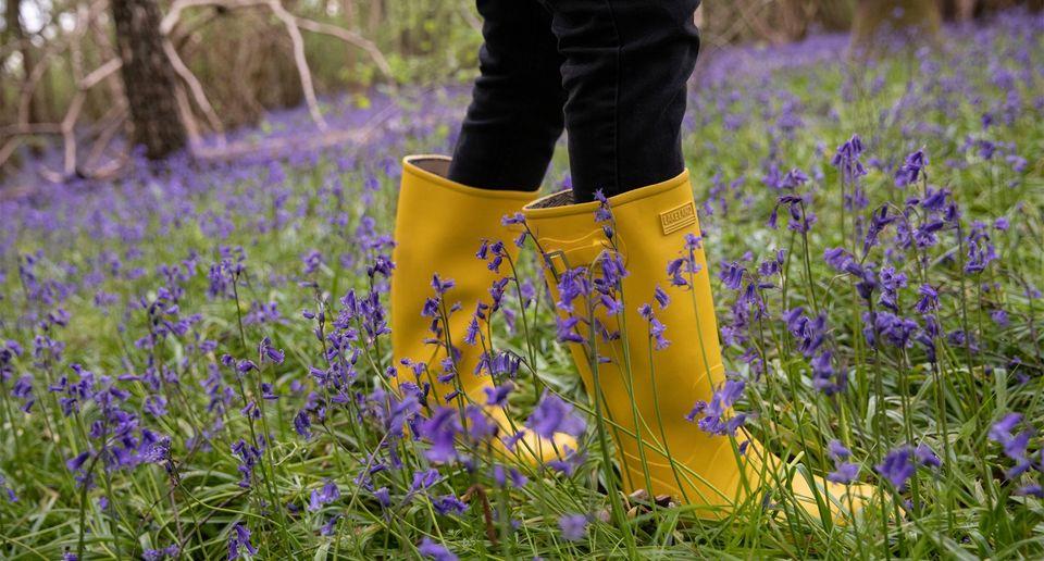Lakeland Footwear