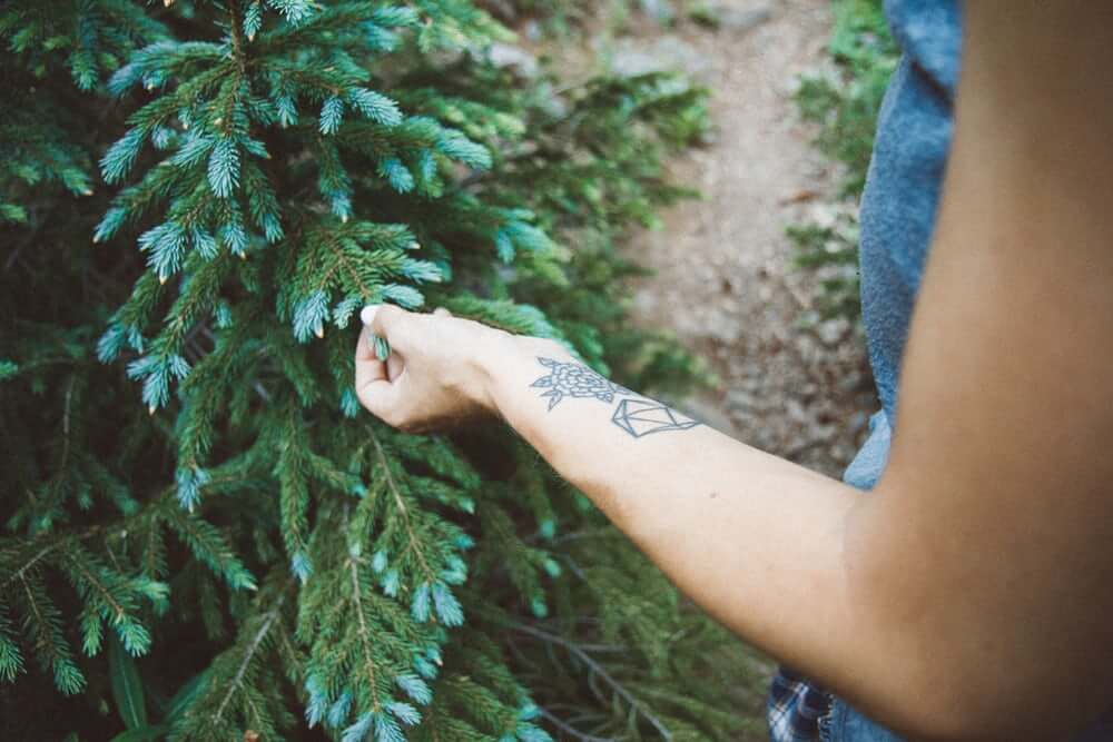woman with a small tattoo touching a pine tree