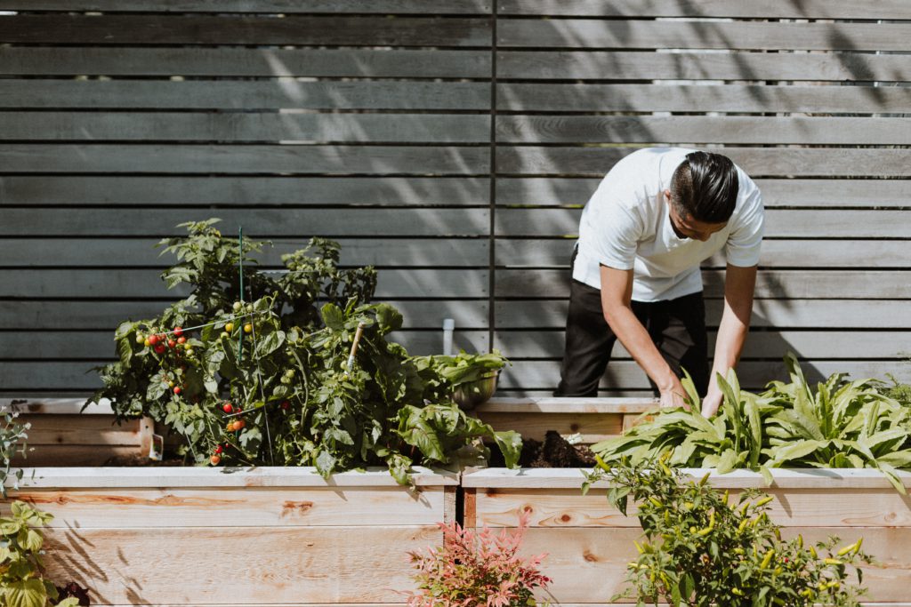 4 healthy habits to add to your daily routine | a man gardening
